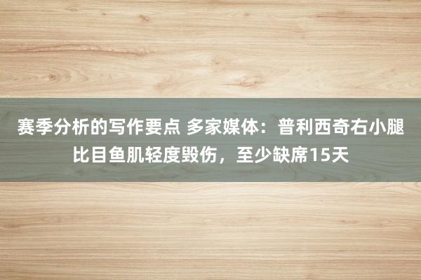 赛季分析的写作要点 多家媒体：普利西奇右小腿比目鱼肌轻度毁伤，至少缺席15天